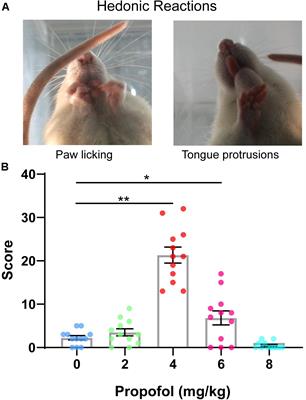 Neurons in the Locus Coeruleus Modulate the Hedonic Effects of Sub-Anesthetic Dose of Propofol